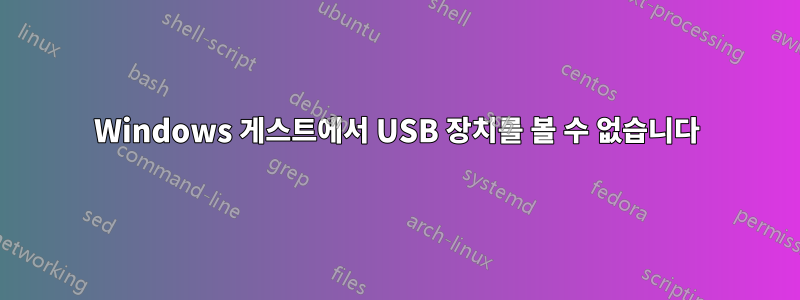 Windows 게스트에서 USB 장치를 볼 수 없습니다