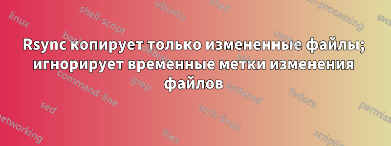 Rsync копирует только измененные файлы; игнорирует временные метки изменения файлов