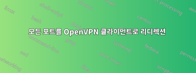 모든 포트를 OpenVPN 클라이언트로 리디렉션