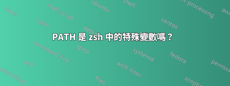 PATH 是 zsh 中的特殊變數嗎？ 