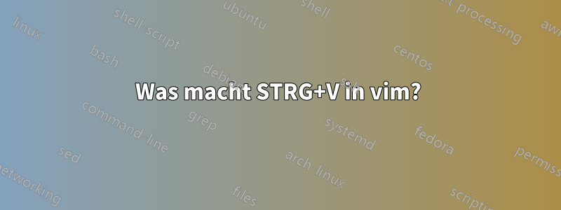 Was macht STRG+V in vim?