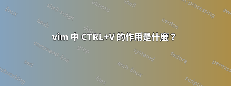 vim 中 CTRL+V 的作用是什麼？