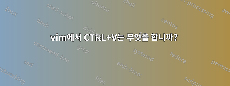 vim에서 CTRL+V는 무엇을 합니까?