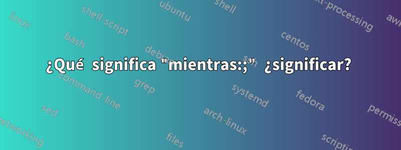 ¿Qué significa "mientras:;" ¿significar?