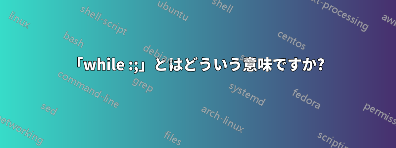 「while :;」とはどういう意味ですか?