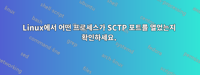 Linux에서 어떤 프로세스가 SCTP 포트를 열었는지 확인하세요.