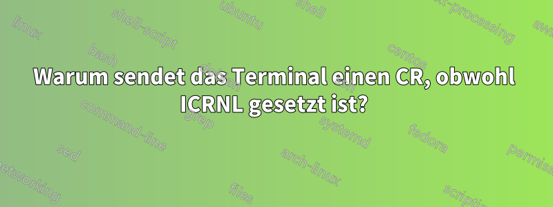 Warum sendet das Terminal einen CR, obwohl ICRNL gesetzt ist?