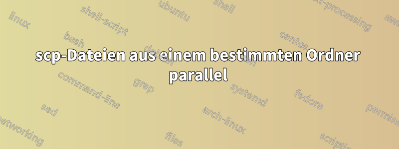 scp-Dateien aus einem bestimmten Ordner parallel