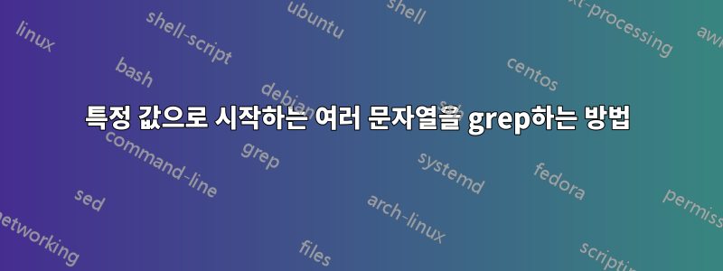 특정 값으로 시작하는 여러 문자열을 grep하는 방법