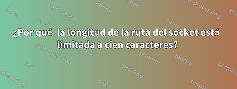 ¿Por qué la longitud de la ruta del socket está limitada a cien caracteres?