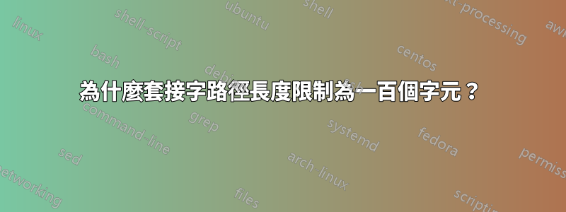 為什麼套接字路徑長度限制為一百個字元？