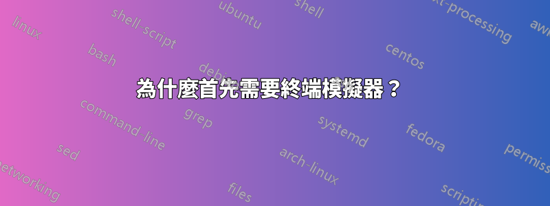 為什麼首先需要終端模擬器？ 