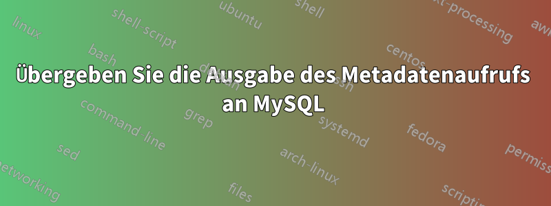 Übergeben Sie die Ausgabe des Metadatenaufrufs an MySQL