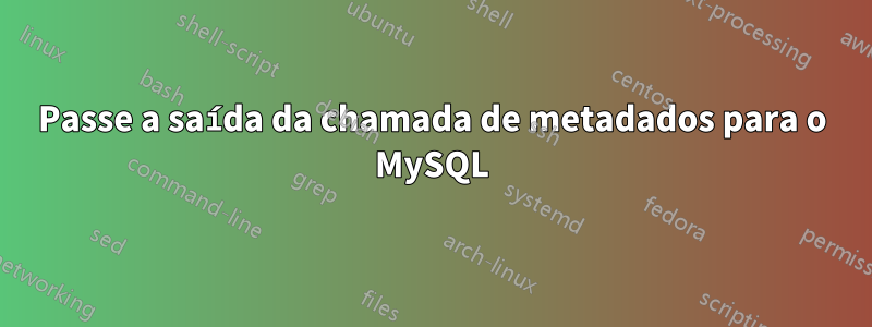 Passe a saída da chamada de metadados para o MySQL