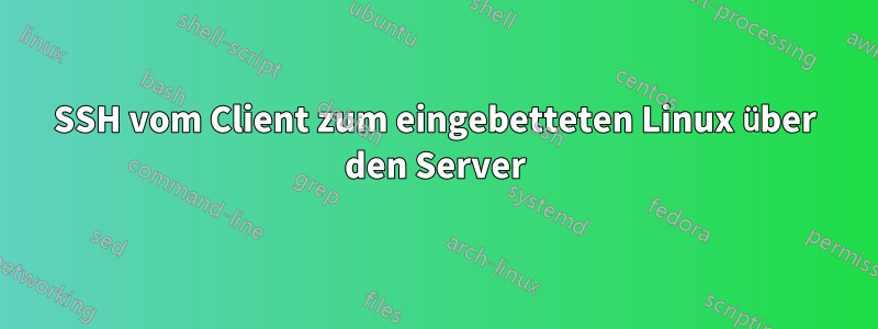 SSH vom Client zum eingebetteten Linux über den Server