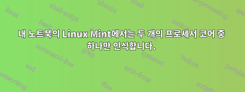 내 노트북의 Linux Mint에서는 두 개의 프로세서 코어 중 하나만 인식합니다.