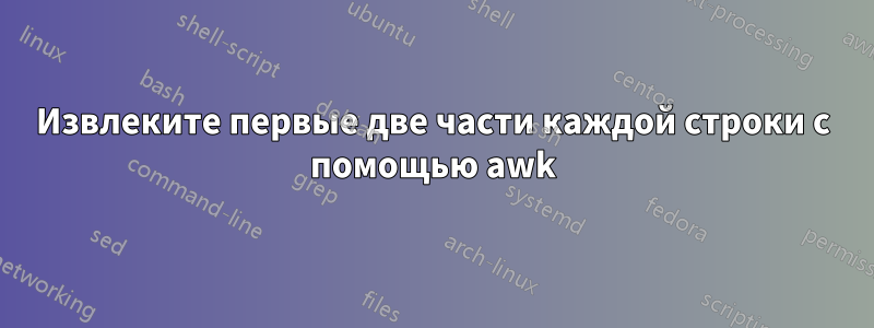 Извлеките первые две части каждой строки с помощью awk