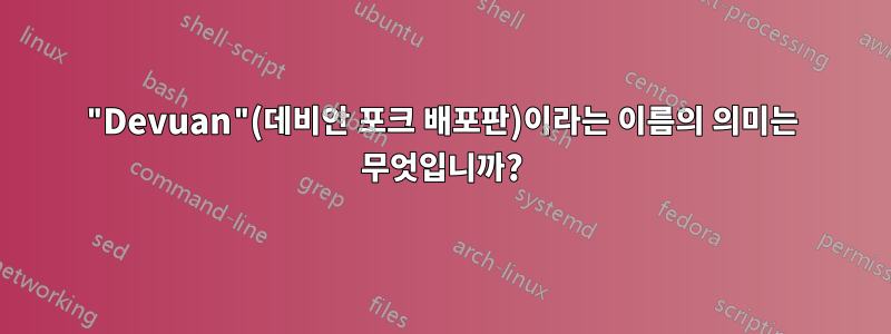 "Devuan"(데비안 포크 배포판)이라는 이름의 의미는 무엇입니까?