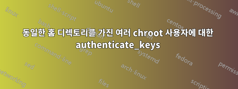 동일한 홈 디렉토리를 가진 여러 chroot 사용자에 대한 authenticate_keys