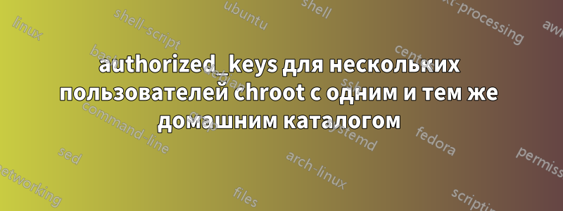 authorized_keys для нескольких пользователей chroot с одним и тем же домашним каталогом