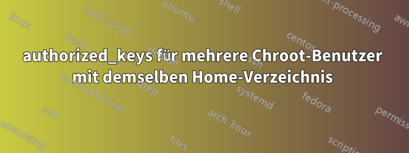 authorized_keys für mehrere Chroot-Benutzer mit demselben Home-Verzeichnis