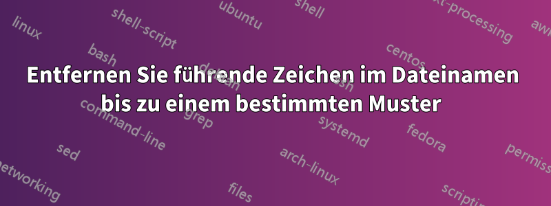 Entfernen Sie führende Zeichen im Dateinamen bis zu einem bestimmten Muster 