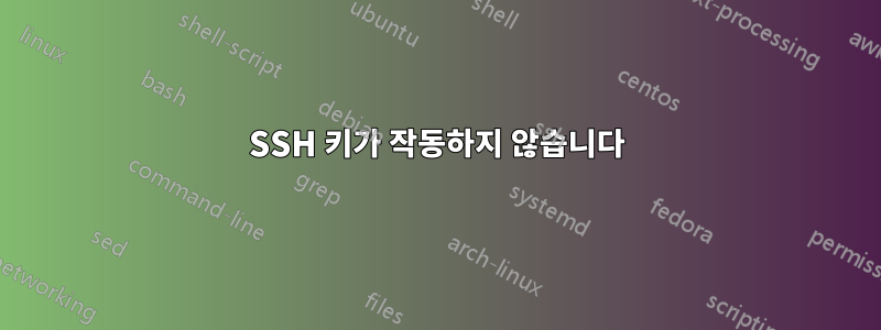 SSH 키가 작동하지 않습니다