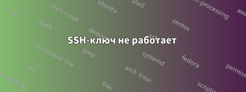 SSH-ключ не работает