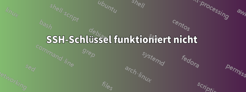 SSH-Schlüssel funktioniert nicht