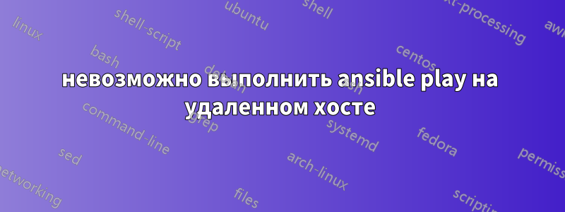 невозможно выполнить ansible play на удаленном хосте