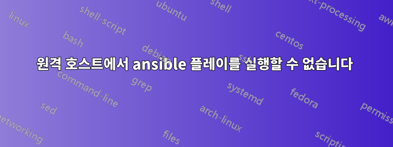 원격 호스트에서 ansible 플레이를 실행할 수 없습니다