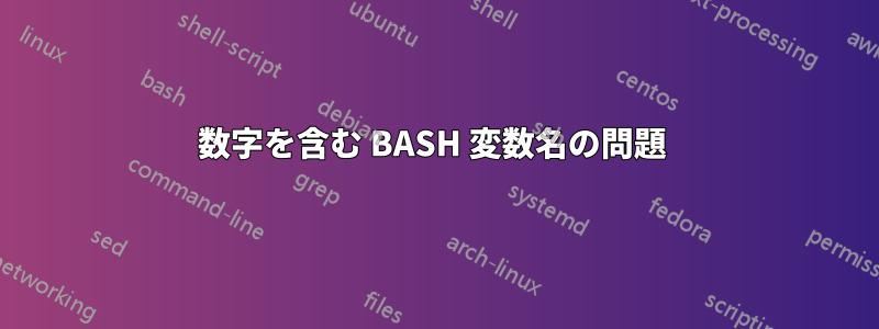 数字を含む BASH 変数名の問題 