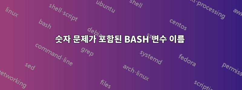 숫자 문제가 포함된 BASH 변수 이름