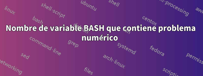 Nombre de variable BASH que contiene problema numérico 