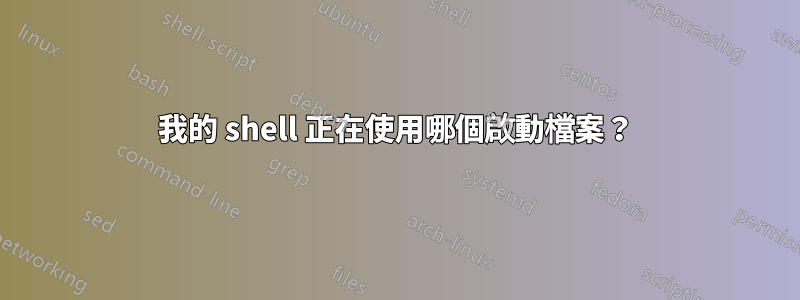 我的 shell 正在使用哪個啟動檔案？