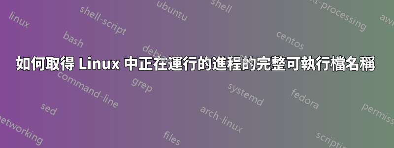 如何取得 Linux 中正在運行的進程的完整可執行檔名稱