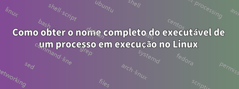 Como obter o nome completo do executável de um processo em execução no Linux