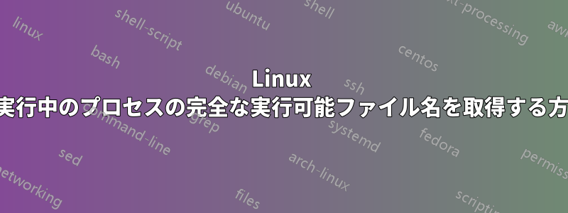 Linux で実行中のプロセスの完全な実行可能ファイル名を取得する方法