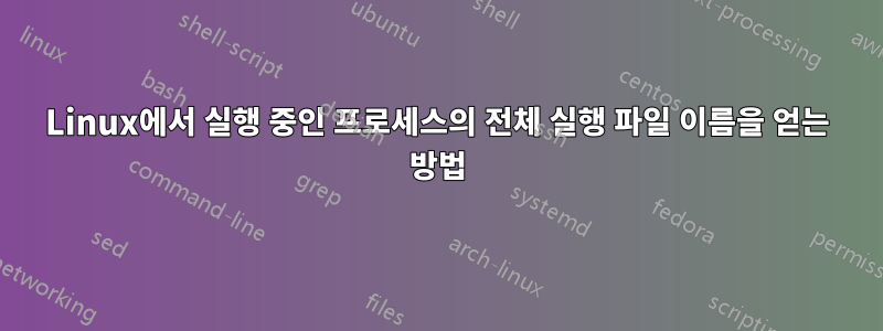 Linux에서 실행 중인 프로세스의 전체 실행 파일 이름을 얻는 방법