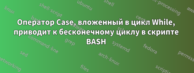 Оператор Case, вложенный в цикл While, приводит к бесконечному циклу в скрипте BASH