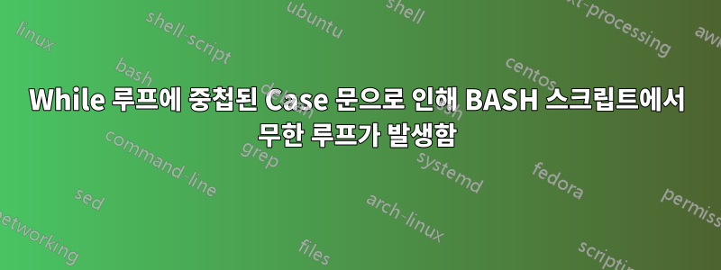 While 루프에 중첩된 Case 문으로 인해 BASH 스크립트에서 무한 루프가 발생함