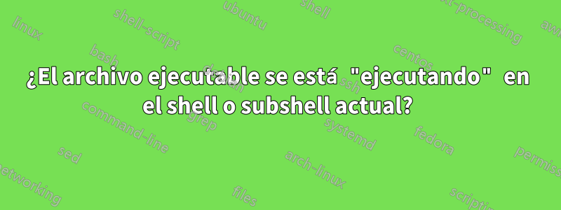 ¿El archivo ejecutable se está "ejecutando" en el shell o subshell actual?