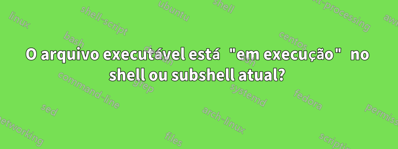 O arquivo executável está "em execução" no shell ou subshell atual?