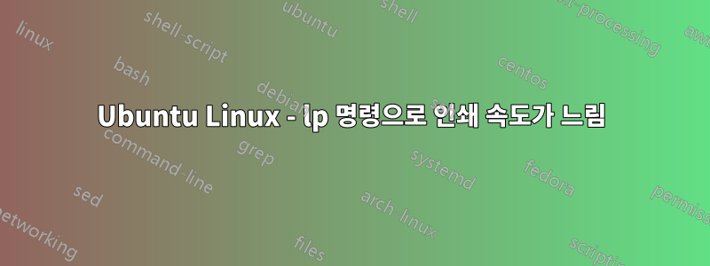 Ubuntu Linux - lp 명령으로 인쇄 속도가 느림