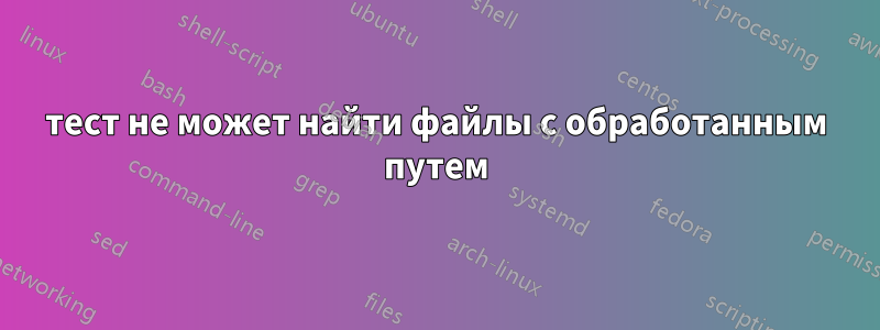 тест не может найти файлы с обработанным путем