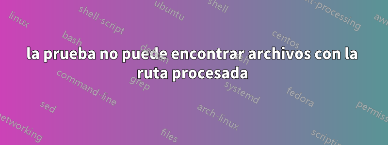 la prueba no puede encontrar archivos con la ruta procesada