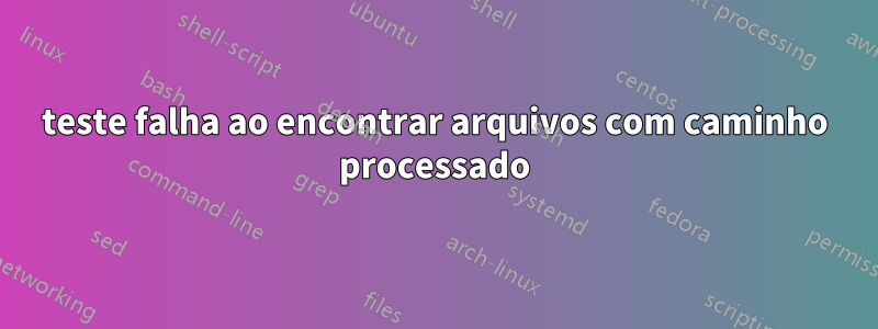 teste falha ao encontrar arquivos com caminho processado