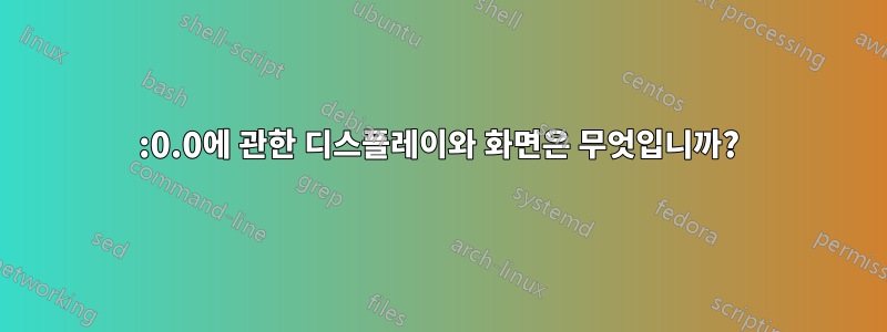 :0.0에 관한 디스플레이와 화면은 무엇입니까?