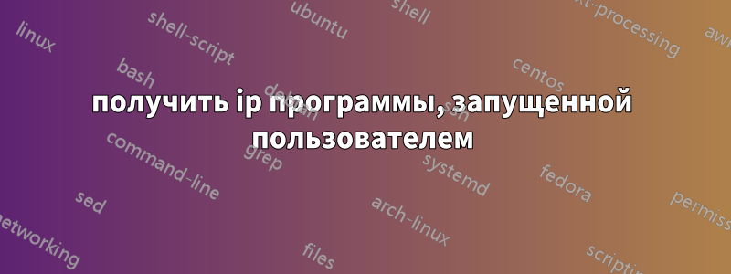 получить ip программы, запущенной пользователем