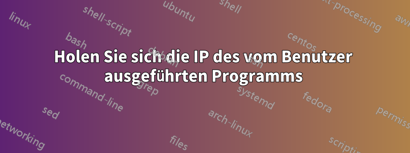 Holen Sie sich die IP des vom Benutzer ausgeführten Programms